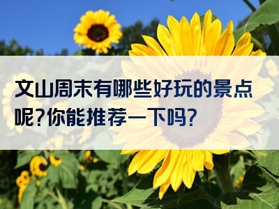文山周末有哪些好玩的景点呢？你能推荐一下吗？