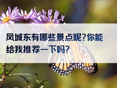 凤城东有哪些景点呢？你能给我推荐一下吗？