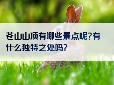 苍山山顶有哪些景点呢？有什么独特之处吗？