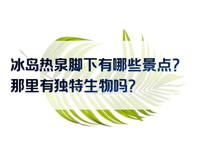 冰岛热泉脚下有哪些景点？那里有独特生物吗？