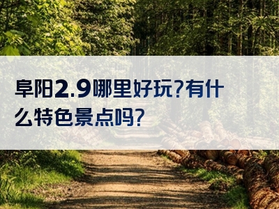 阜阳2.9哪里好玩？有什么特色景点吗？