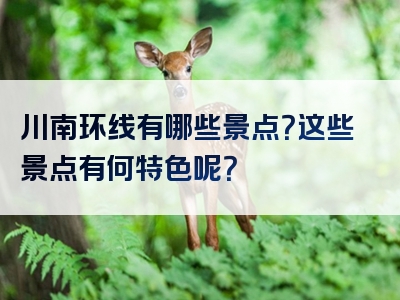 川南环线有哪些景点？这些景点有何特色呢？