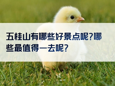 五桂山有哪些好景点呢？哪些最值得一去呢？