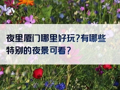 夜里厦门哪里好玩？有哪些特别的夜景可看？