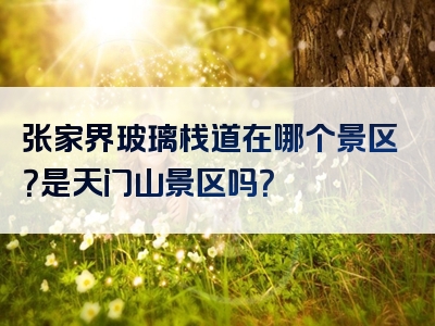 张家界玻璃栈道在哪个景区？是天门山景区吗？