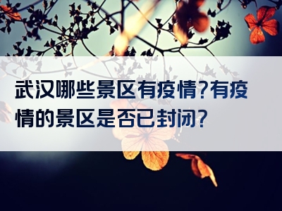 武汉哪些景区有疫情？有疫情的景区是否已封闭？