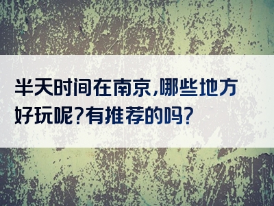 半天时间在南京，哪些地方好玩呢？有推荐的吗？