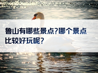 鲁山有哪些景点？哪个景点比较好玩呢？