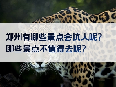 郑州有哪些景点会坑人呢？哪些景点不值得去呢？
