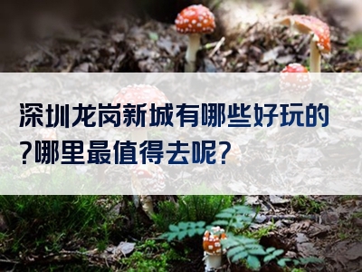 深圳龙岗新城有哪些好玩的？哪里最值得去呢？
