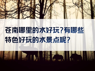 苍南哪里的水好玩？有哪些特色好玩的水景点呢？
