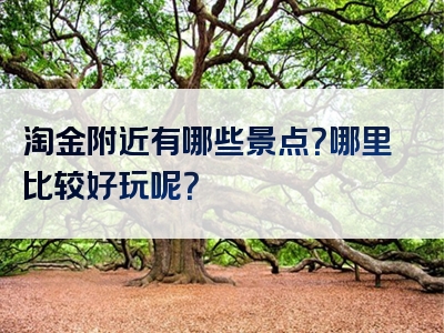 淘金附近有哪些景点？哪里比较好玩呢？