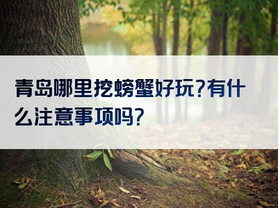 青岛哪里挖螃蟹好玩？有什么注意事项吗？