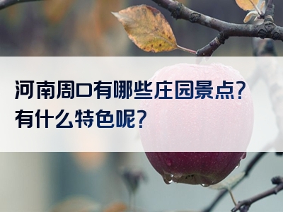 河南周口有哪些庄园景点？有什么特色呢？