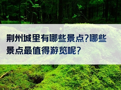 荆州城里有哪些景点？哪些景点最值得游览呢？