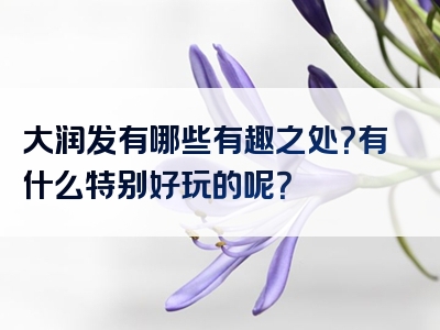 大润发有哪些有趣之处？有什么特别好玩的呢？