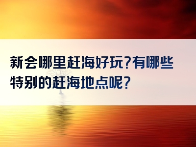 新会哪里赶海好玩？有哪些特别的赶海地点呢？