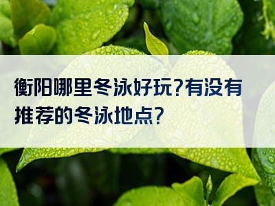 衡阳哪里冬泳好玩？有没有推荐的冬泳地点？