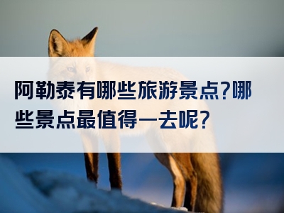 阿勒泰有哪些旅游景点？哪些景点最值得一去呢？