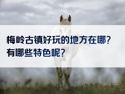 梅岭古镇好玩的地方在哪？有哪些特色呢？