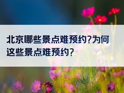 北京哪些景点难预约？为何这些景点难预约？