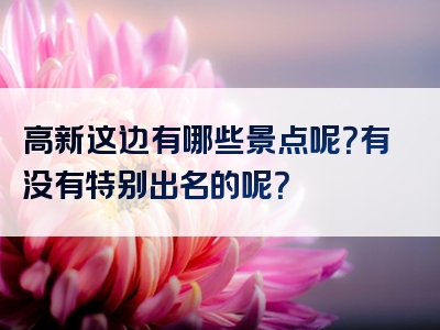 高新这边有哪些景点呢？有没有特别出名的呢？