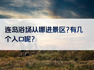 连岛浴场从哪进景区？有几个入口呢？