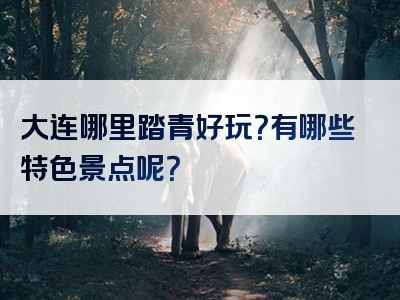 大连哪里踏青好玩？有哪些特色景点呢？