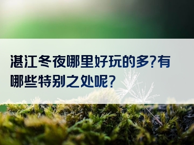 湛江冬夜哪里好玩的多？有哪些特别之处呢？