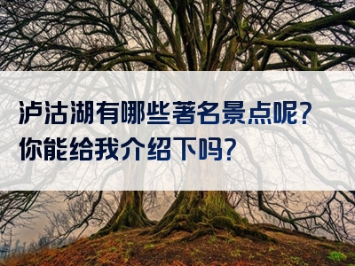 泸沽湖有哪些著名景点呢？你能给我介绍下吗？
