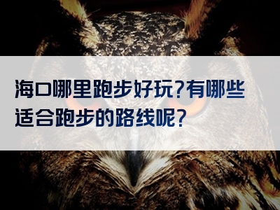 海口哪里跑步好玩？有哪些适合跑步的路线呢？