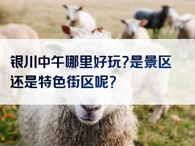 银川中午哪里好玩？是景区还是特色街区呢？