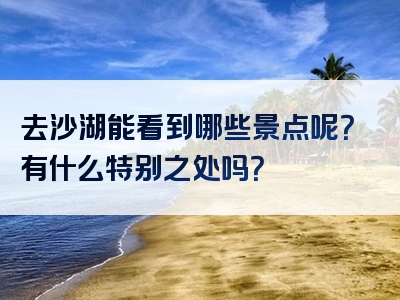 去沙湖能看到哪些景点呢？有什么特别之处吗？
