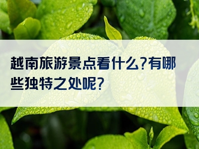 越南旅游景点看什么？有哪些独特之处呢？
