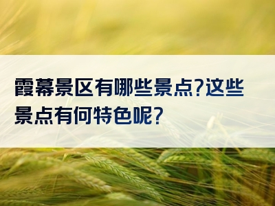 霞幕景区有哪些景点？这些景点有何特色呢？