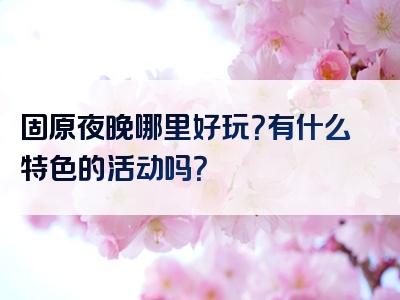固原夜晚哪里好玩？有什么特色的活动吗？