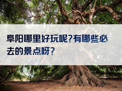 阜阳哪里好玩呢？有哪些必去的景点呀？