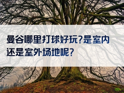 曼谷哪里打球好玩？是室内还是室外场地呢？