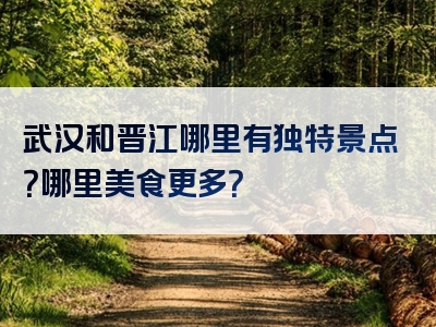 武汉和晋江哪里有独特景点？哪里美食更多？