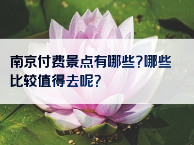 南京付费景点有哪些？哪些比较值得去呢？