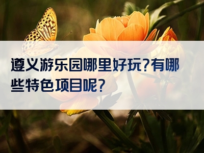 遵义游乐园哪里好玩？有哪些特色项目呢？