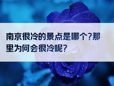 南京很冷的景点是哪个？那里为何会很冷呢？