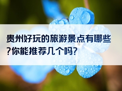贵州好玩的旅游景点有哪些？你能推荐几个吗？
