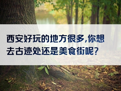 西安好玩的地方很多，你想去古迹处还是美食街呢？