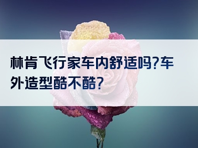 林肯飞行家车内舒适吗？车外造型酷不酷？