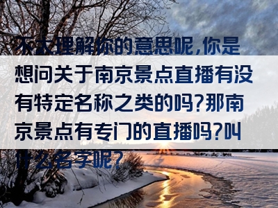 不太理解你的意思呢，你是想问关于南京景点直播有没有特定名称之类的吗？那南京景点有专门的直播吗？叫什么名字呢？