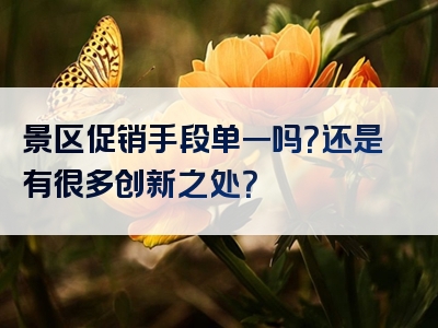 景区促销手段单一吗？还是有很多创新之处？