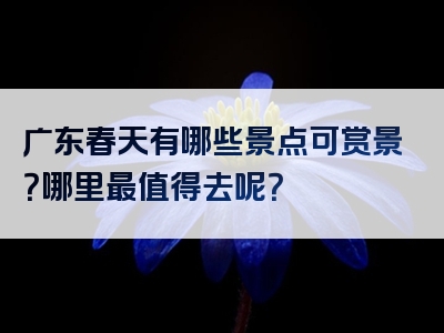 广东春天有哪些景点可赏景？哪里最值得去呢？