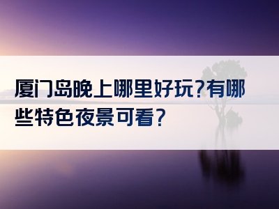 厦门岛晚上哪里好玩？有哪些特色夜景可看？