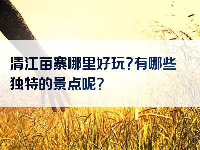 清江苗寨哪里好玩？有哪些独特的景点呢？